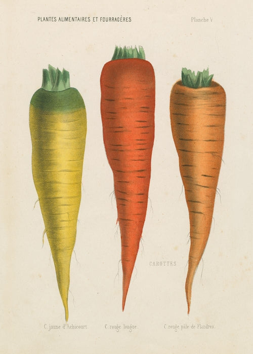 Puzzle Three Carrots - John Derian, 1000 piese, 27 x 19,5 cm