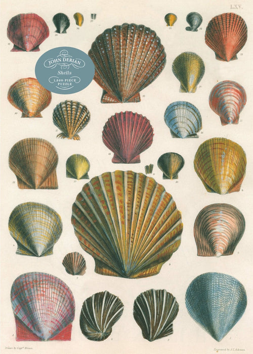 Puzzle Shells - John Derian, 1000 piese, 27,5 x 19,5 cm