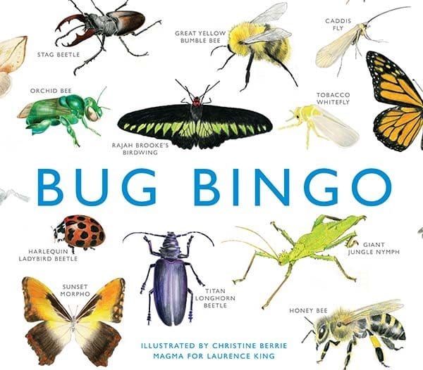 Joc Bingo Bug, 26 x 23,5 cm