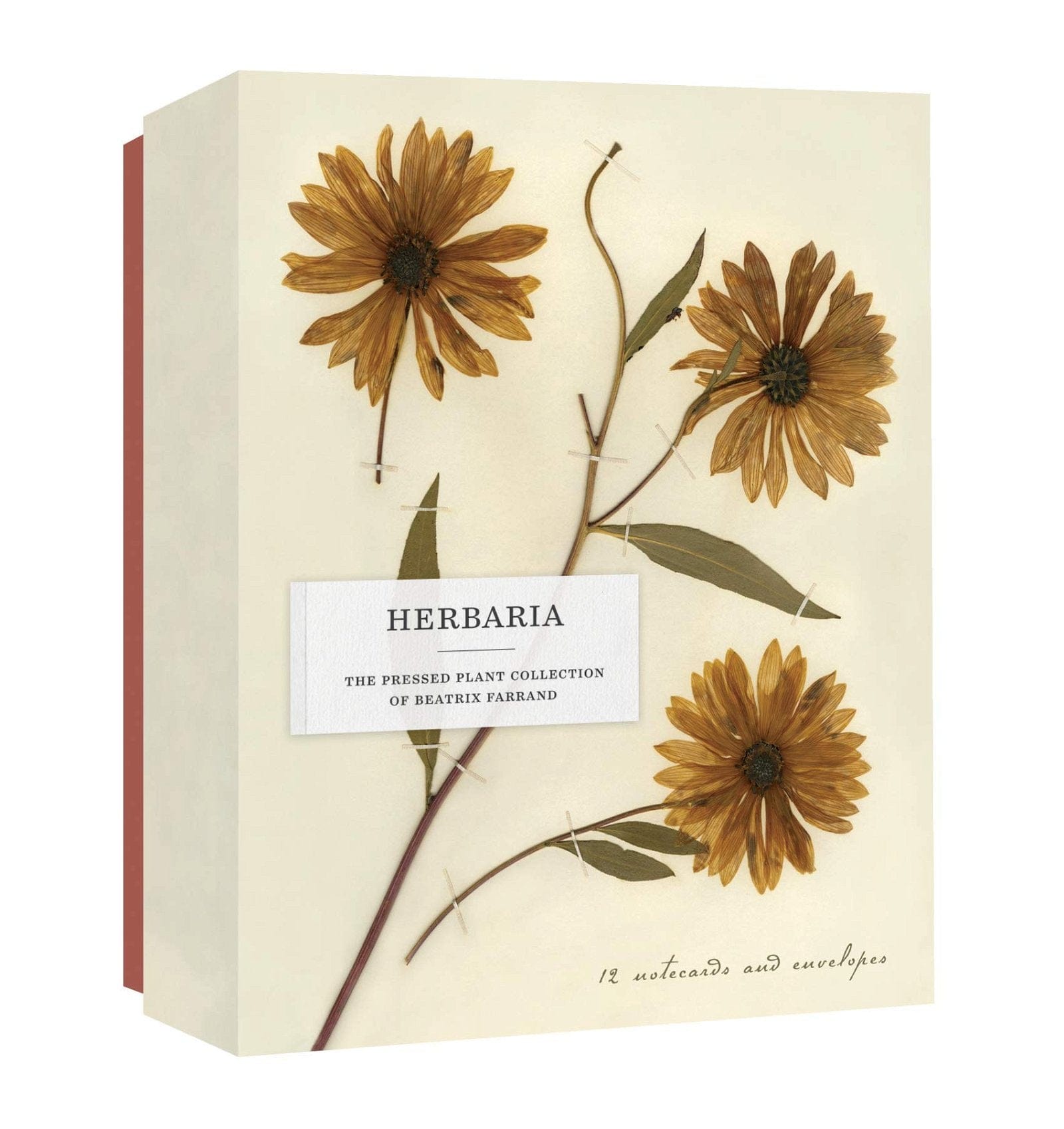 Agenda Herbaria: The Pressed Plant Collection of Beatrix Farrand Notecards, in Limba Engleza - SomProduct Romania