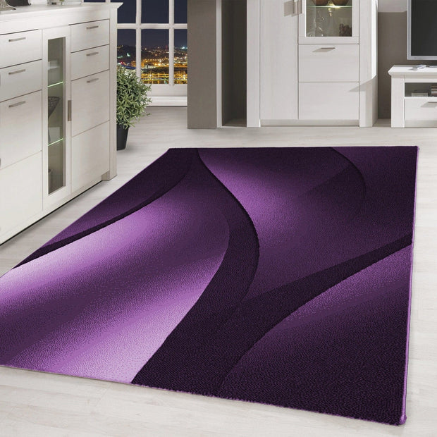 Ayyildiz Teppiche Covor din PP Plus 8010 Ombre Violet