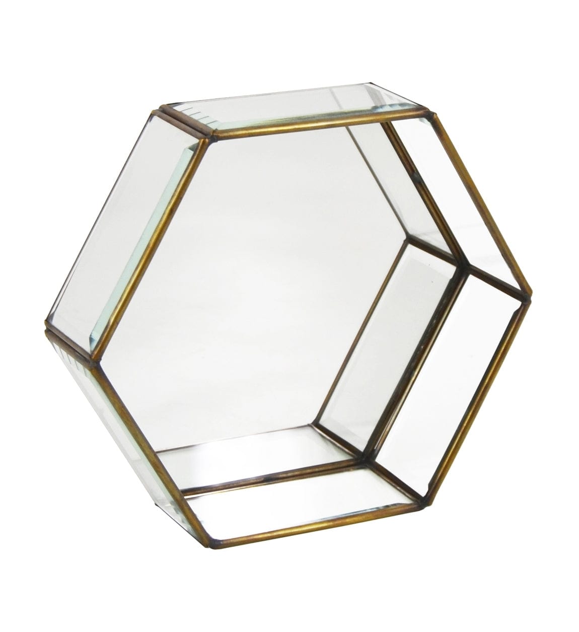 Cutie pentru depozitare cu capac, din sticla si metal Hexagonal Small  Transparent / Alama, L16xl14xH6 cm (2)