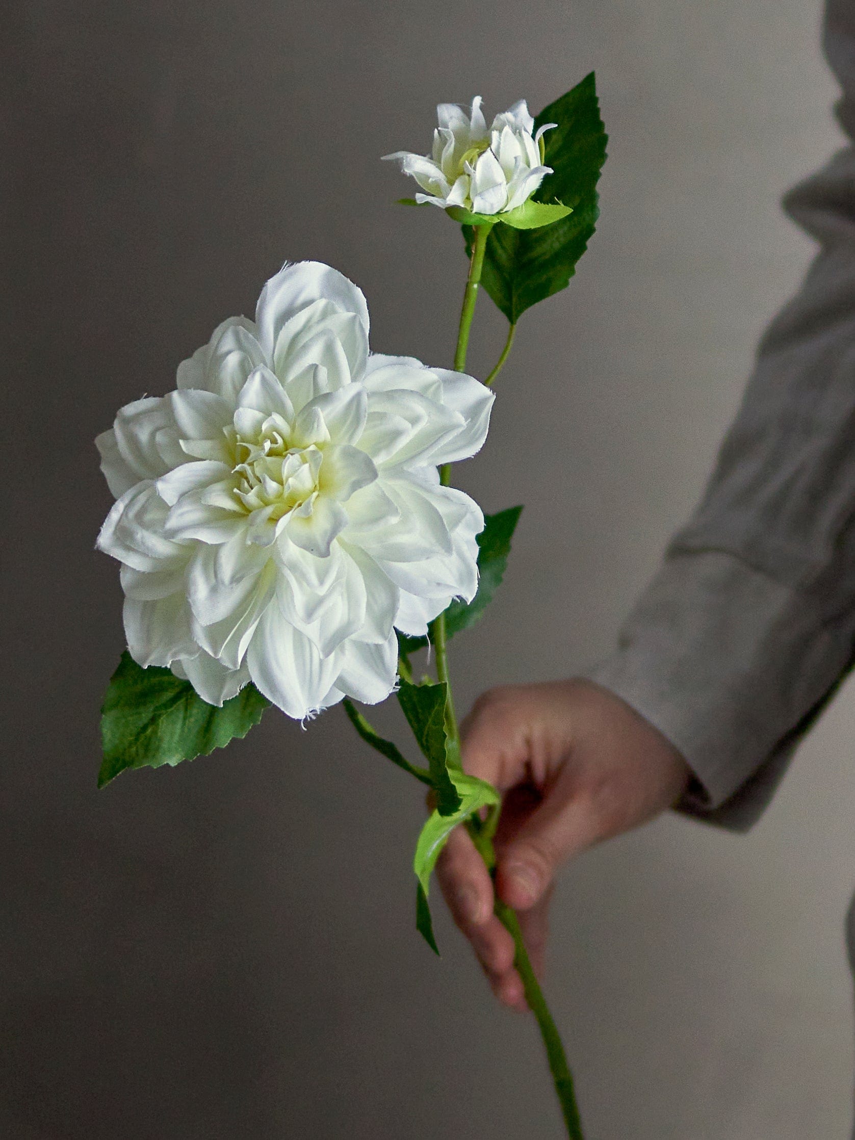 Fir floare artificiala, Dahlia Alb, H63,5 cm (2)