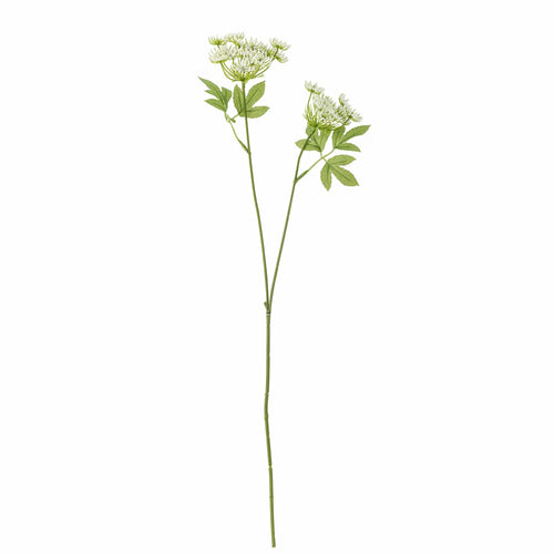 Bloomingville Fir floare artificiala, Fennel Alb, H66 cm