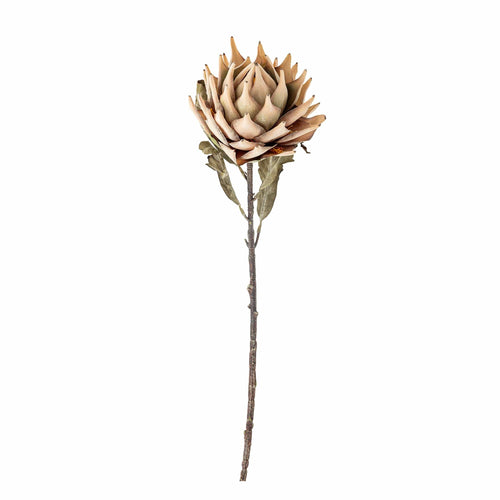 Fir floare artificiala, Protea Natural, H76 cm