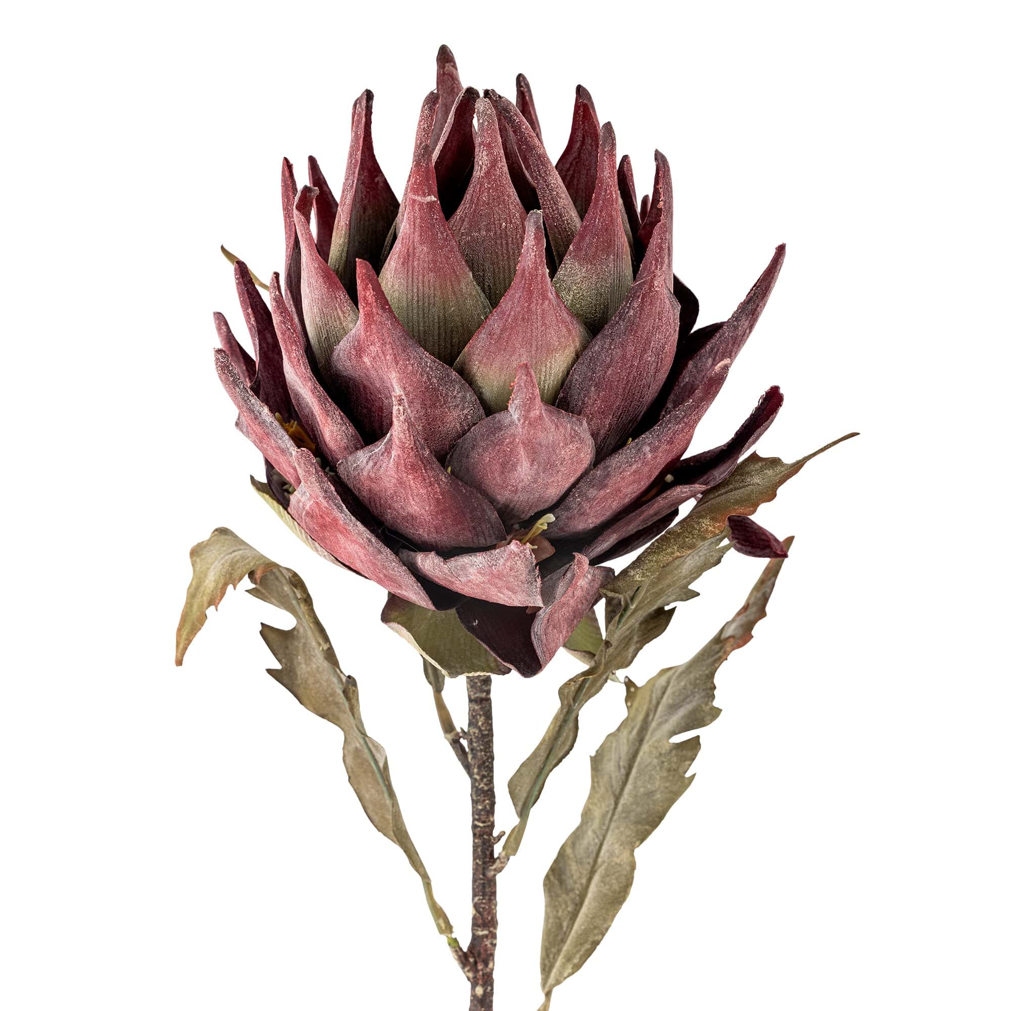 Fir floare artificiala, Protea Violet, H76 cm (1)