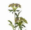 Fir floare artificiala, Throatwort Violet, H49 cm (1)