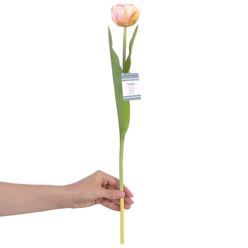 Decoking Fir floare artificiala, Tulipi Multicolor, H50 cm