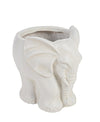 Ghiveci din Fiberclay, Garden Elephant S Ivoir, L27,5xl22xH26 cm