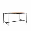 Unique Furniture A/S Masa de cafea din pal si metal, Altino Stejar / Negru, L100xl56,8xH45 cm