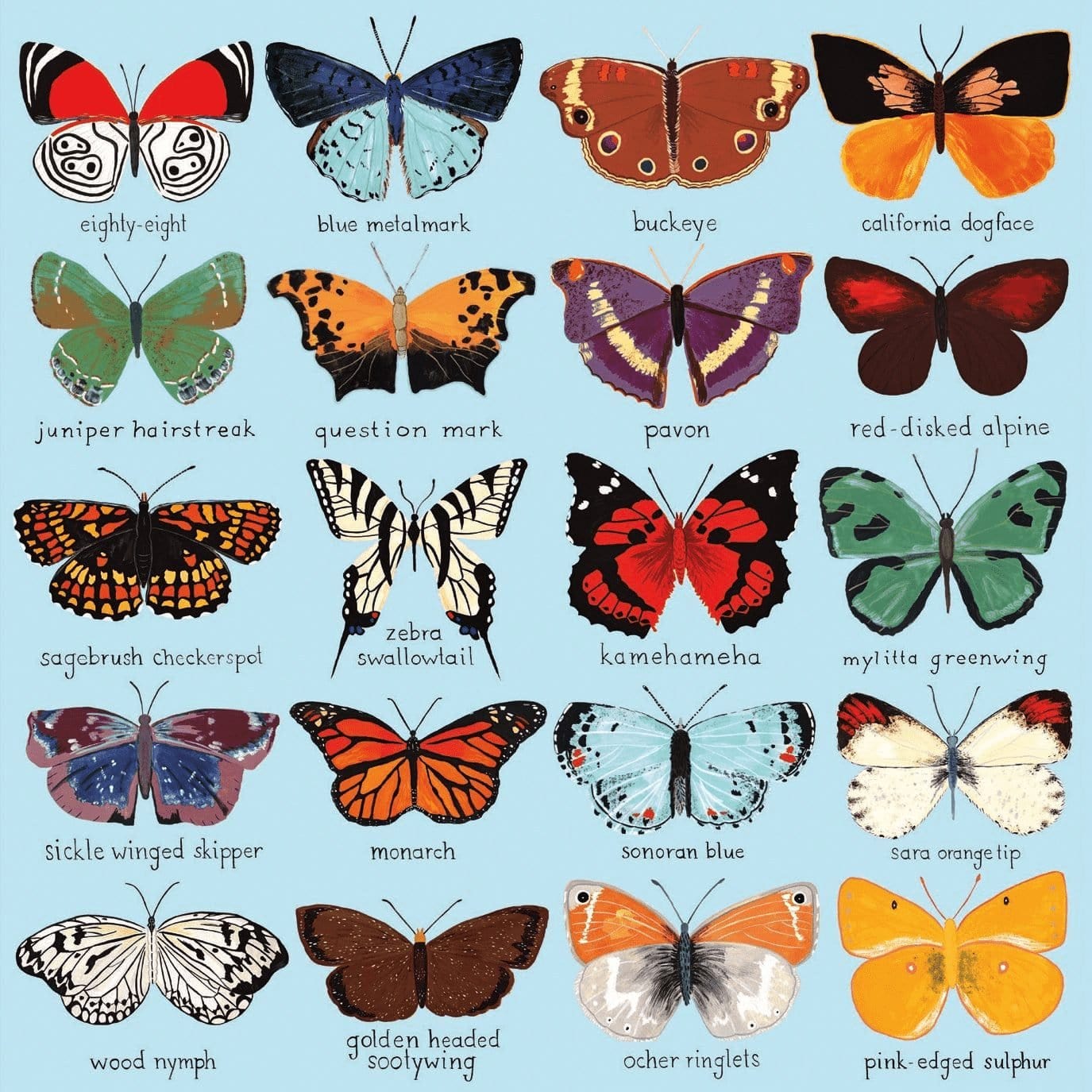 Puzzle Butterflies of North America, 500 piese, 20 x 20 cm