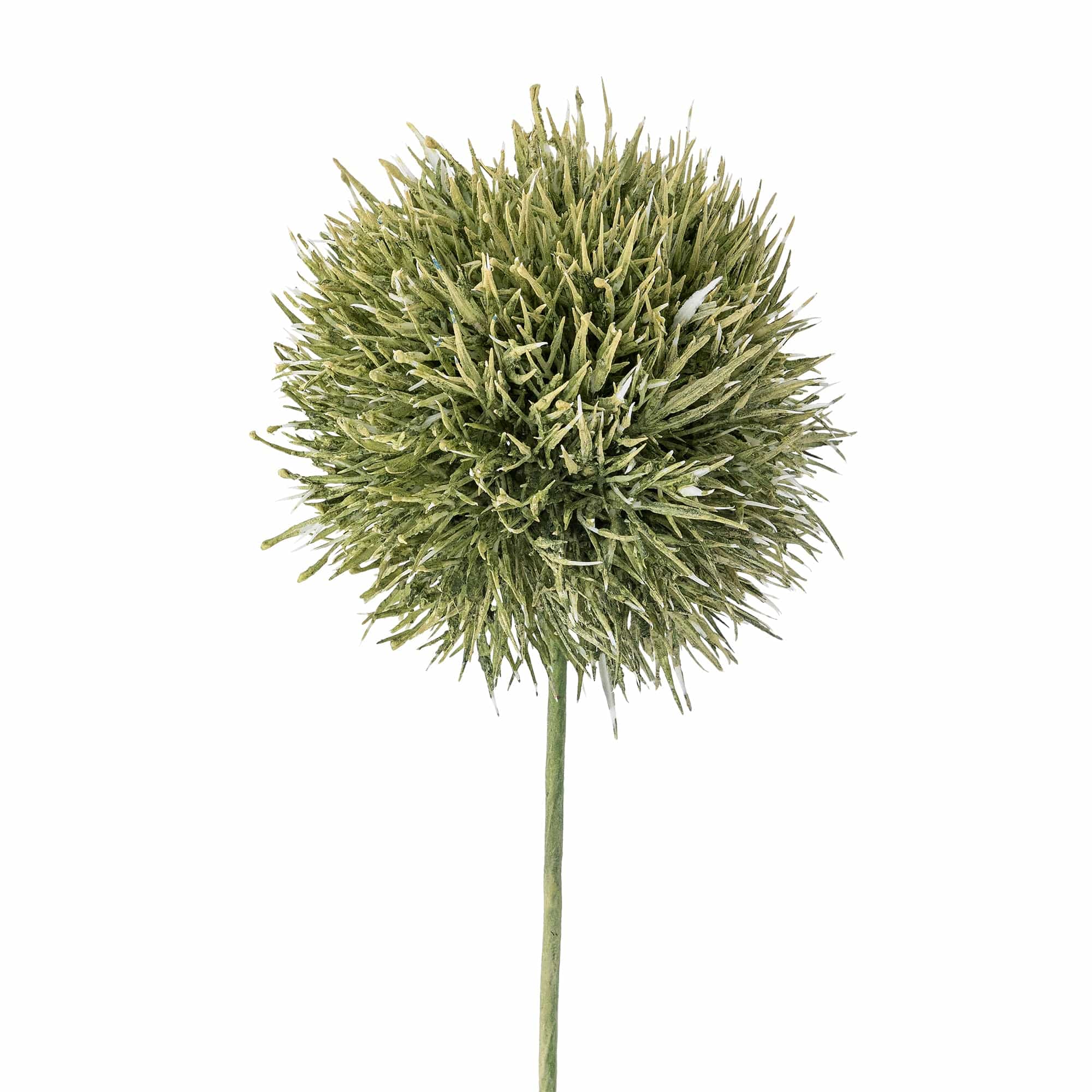 Ramura decorativa artificiala, Allium Verde, H63 cm (1)