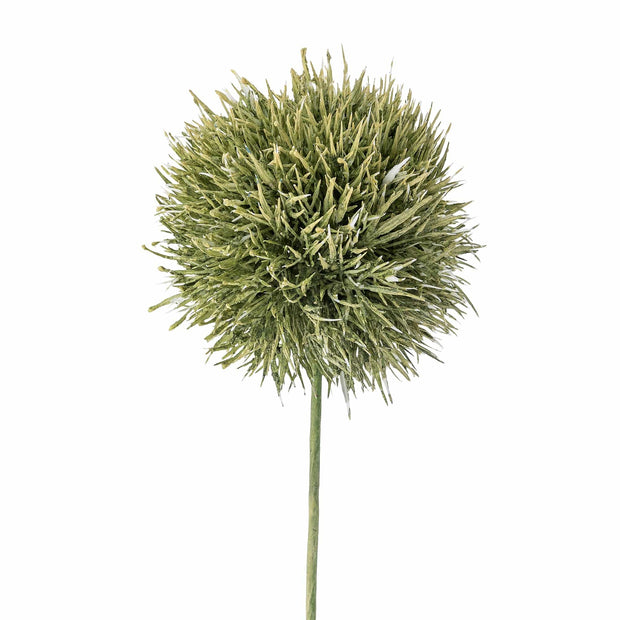 Ramura decorativa artificiala, Allium Verde, H63 cm (1)