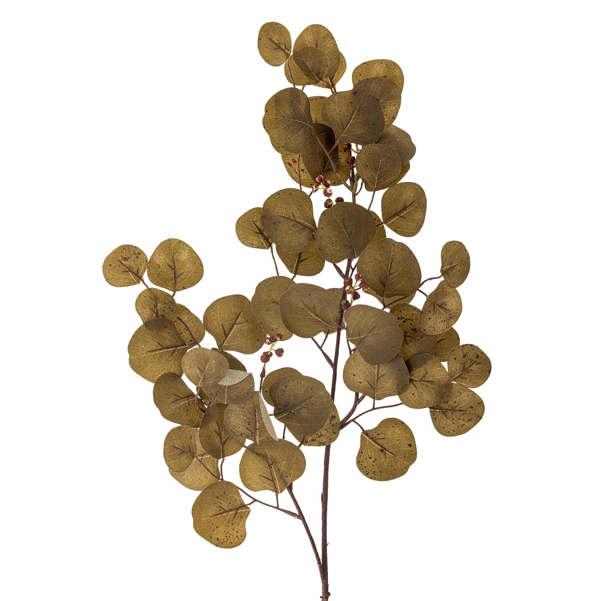 Ramura decorativa artificiala, Eucalyptus Maro, H86 cm (1)