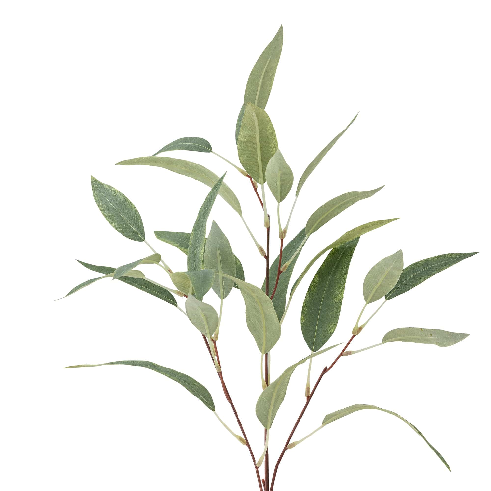 Ramura decorativa artificiala, Eucalyptus Verde, H85 cm (1)