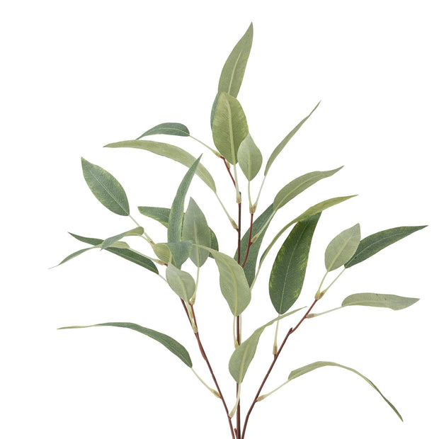 Ramura decorativa artificiala, Eucalyptus Verde, H85 cm (1)