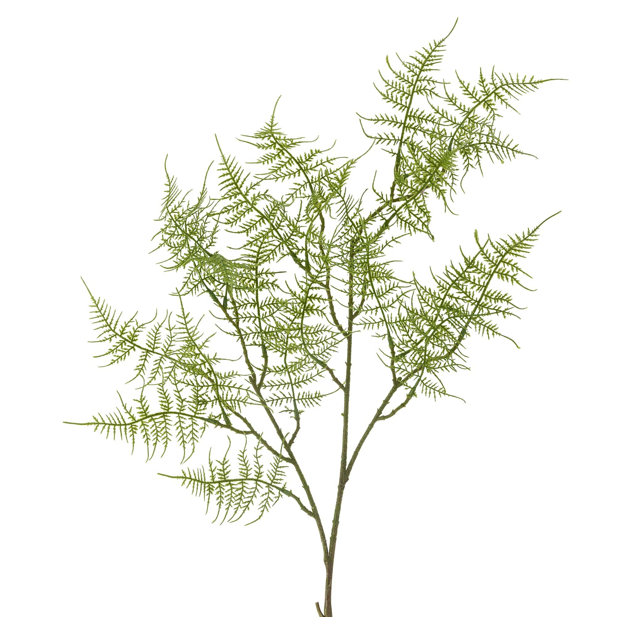 Ramura decorativa artificiala, Fern Verde, H89 cm (1)