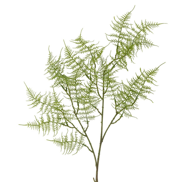 Ramura decorativa artificiala, Fern Verde, H89 cm (1)