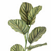 Ramura decorativa artificiala, Zebra Verde, H79 cm (1)