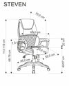 Scaun de birou directorial tapitat cu piele ecologica, Steven Negru / Gri, l65xA70xH111-119 cm (2)