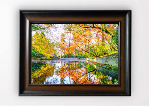Tablou Framed Art Bright Fall Forest Multicolor & OYOTR-5KC1007638 & OYOTR-5KC1007638