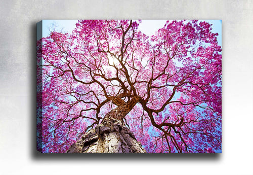 Tablou Canvas Pink Blossom Multicolor & OYOTR-151572134 & OYOTR-151572134 & OYOTR-151572134