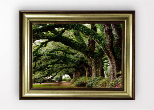 Tablou Framed Art Savannah Tree Multicolor & OYOTR-5BA2141251 & OYOTR-5BA2141251 & OYOTR-5BA2141251