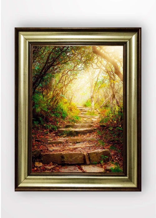 Tablou Framed Art Wood Path Multicolor & OYOTR-5BA3082694 & OYOTR-5BA3082694 & OYOTR-5BA3082694