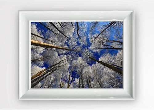 Tablou Framed Art Blue Sky Multicolor & OYOTR-5BC1029721 & OYOTR-5BC1029721 & OYOTR-5BC1029721