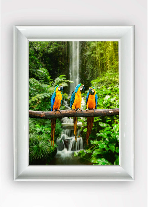 Tablou Framed Art Parrot Multicolor & OYOTR-5BC2547637 & OYOTR-5BC2547637 & OYOTR-5BC2547637