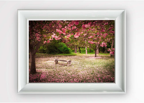 Tablou Framed Art Pink Park Multicolor & OYOTR-5BC2567538 & OYOTR-5BC2567538 & OYOTR-5BC2567538