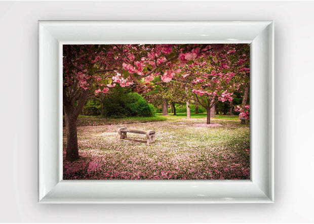 Tablou Framed Art Pink Park Multicolor & OYOTR-5BC2567538 & OYOTR-5BC2567538 & OYOTR-5BC2567538