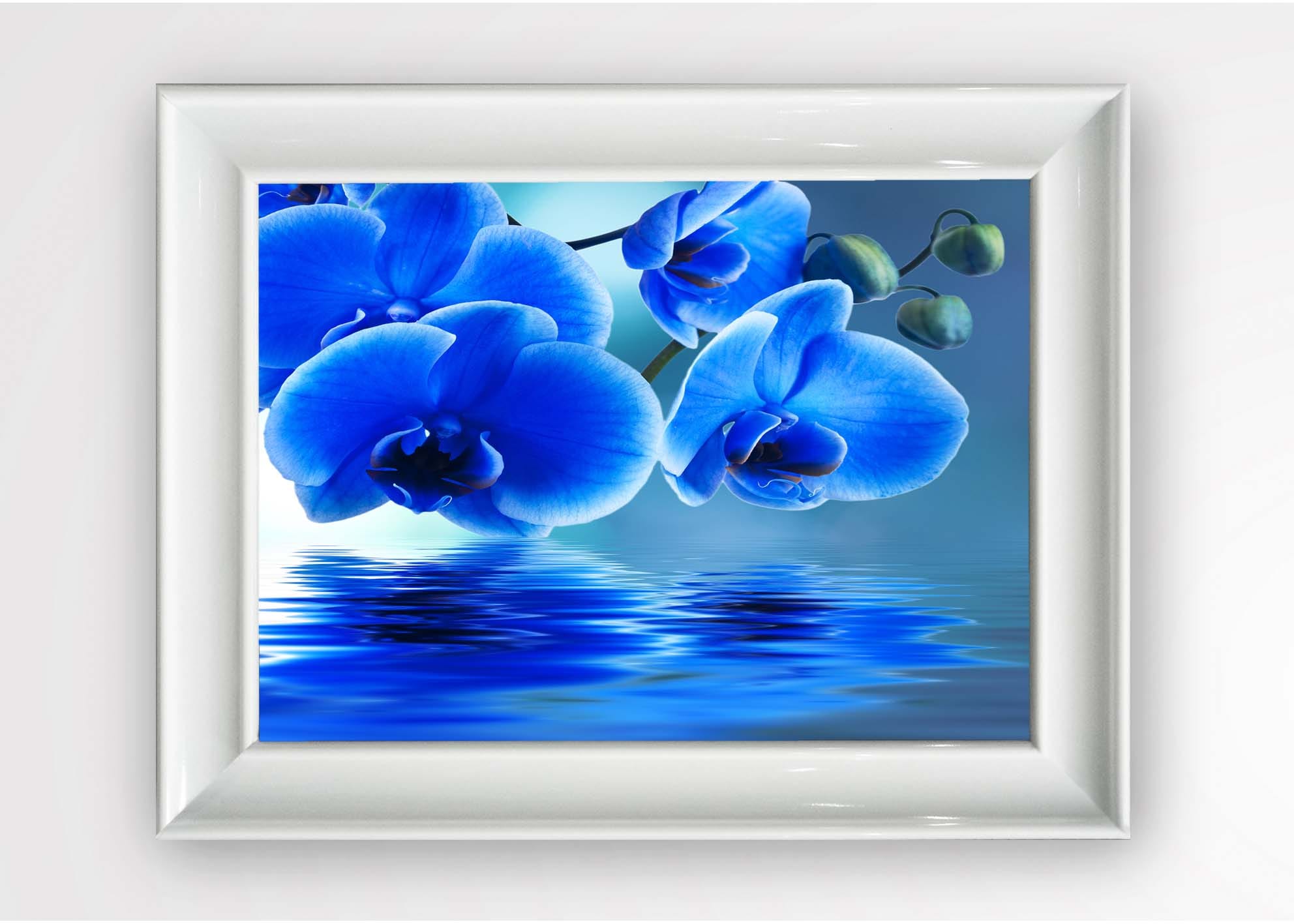 Tablou Framed Art Blue Orchid Multicolor & OYOTR-5BC2664561 & OYOTR-5BC2664561 & OYOTR-5BC2664561