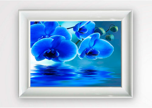 Tablou Framed Art Blue Orchid Multicolor & OYOTR-5BC2664561 & OYOTR-5BC2664561 & OYOTR-5BC2664561