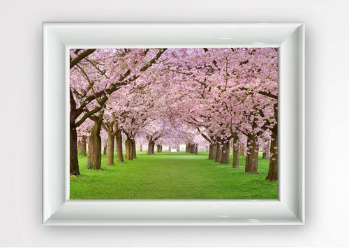 Tablou Framed Art Cherry Orchard Multicolor & OYOTR-5BC41580 & OYOTR-5BC41580 & OYOTR-5BC41580