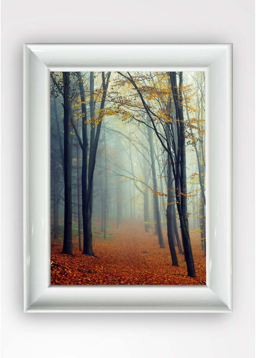 Tablou Framed Art Peak Autumn Multicolor & OYOTR-5BC4249593 & OYOTR-5BC4249593 & OYOTR-5BC4249593