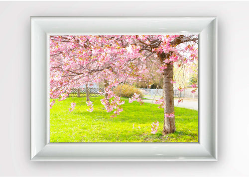 Tablou Framed Art Pink Blossom Multicolor & OYOTR-5BC4383043 & OYOTR-5BC4383043 & OYOTR-5BC4383043