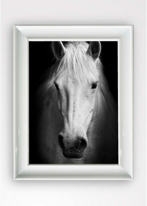 Tablou Framed Art Pure Horse Multicolor & OYOTR-5BC6290461 & OYOTR-5BC6290461 & OYOTR-5BC6290461