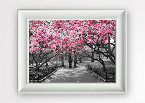 Tablou Framed Art Blooming Magnolia Multicolor & OYOTR-5BC7188412 & OYOTR-5BC7188412