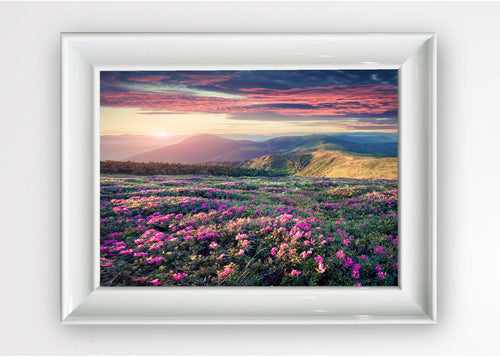 Tablou Framed Art Wild Flowers Multicolor & OYOTR-5BC7410620 & OYOTR-5BC7410620
