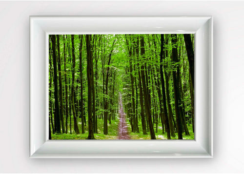 Tablou Framed Art Greed Forest Multicolor & OYOTR-5BC7985468 & OYOTR-5BC7985468