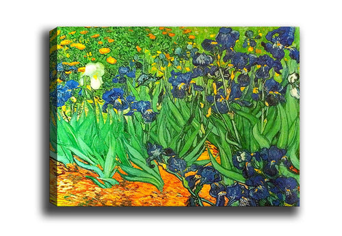 Tablou Canvas Irises Field Multicolor & OYOTR-74366078948-7436501499471