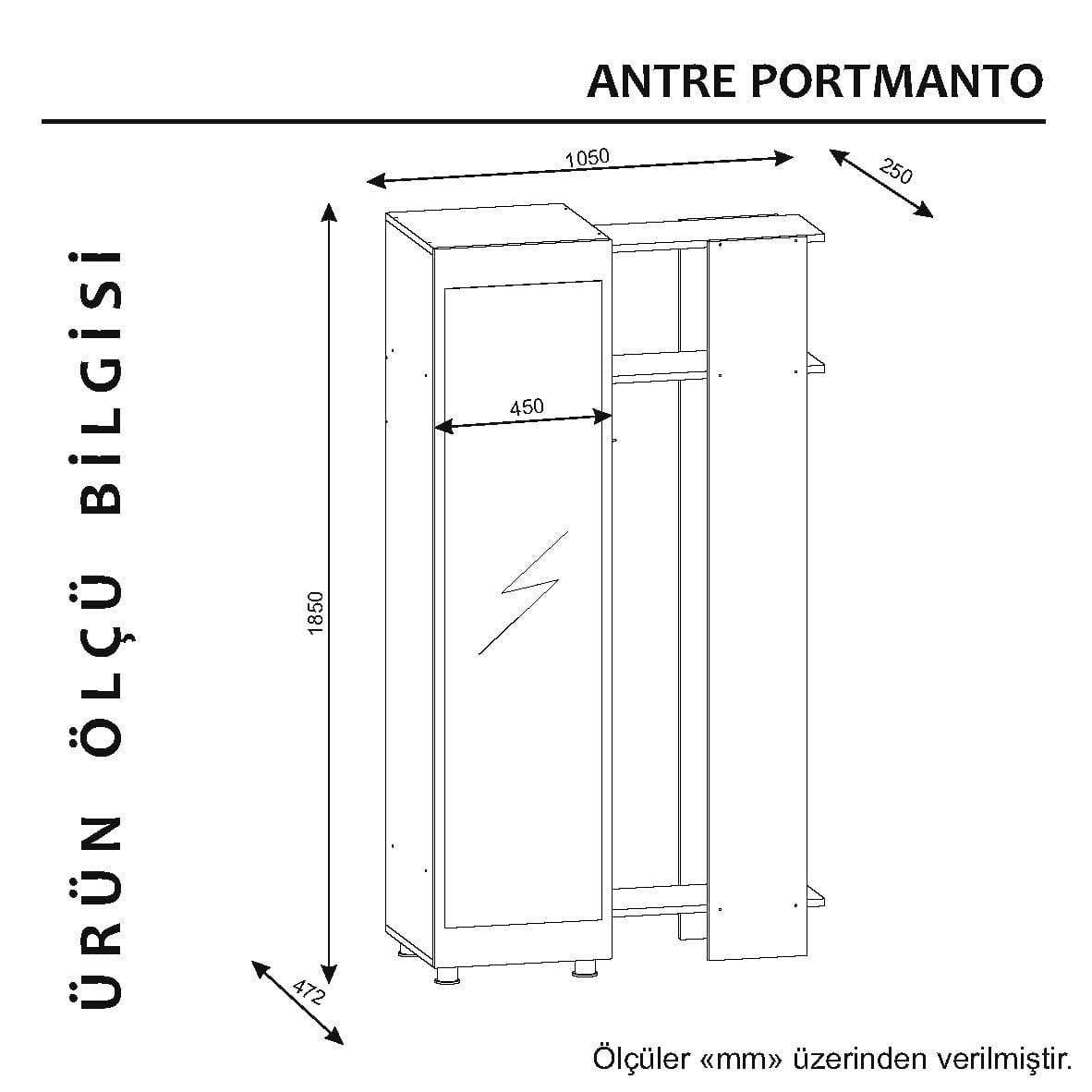 Dulap hol cu oglinda si cuier, din pal cu 1 usa, Antre Alb / Nuc, l105xA47,2xH185 cm (3)