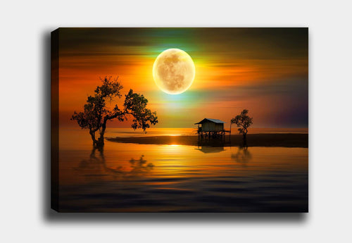Tablou Canvas Full Moon II Multicolor & OYOTR-DEV738948970 & OYOTR-DEV738948970