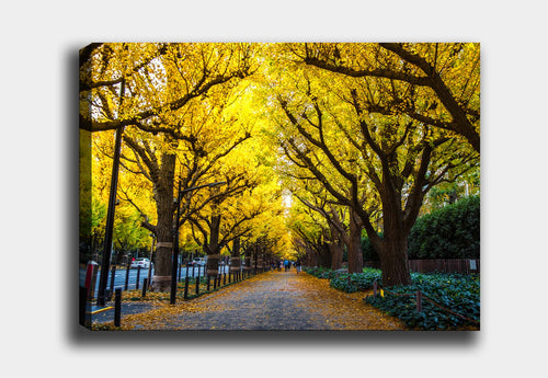 Tablou Canvas Yellow Trees Multicolor & OYOTR-DEV760753912 & OYOTR-DEV760753912