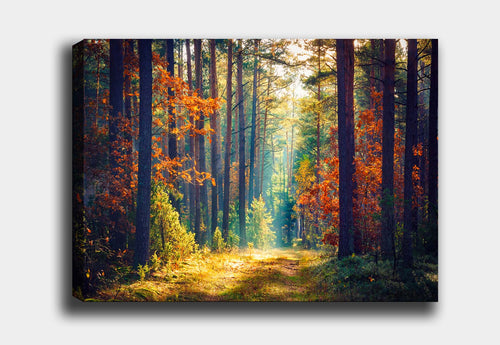 Tablou Canvas Fall Forest Multicolor & OYOTR-DEV766886038 & OYOTR-DEV766886038 & OYOTR-DEV766886038