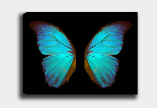 Tablou Canvas Teal Butterfly Multicolor & OYOTR-DEV789417940 & OYOTR-DEV789417940