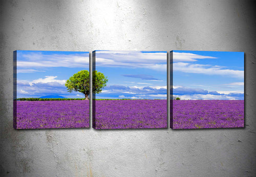 Tablou 3 piese Canvas Lavender Field Multicolor, 90 x 30 cm