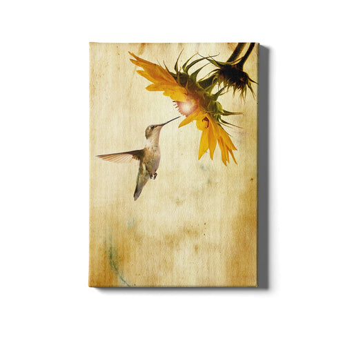 Tablou Canvas Hummingbird Multicolor & OYOTR-SL_tablou_190M & OYOTR-SL_tablou_190M