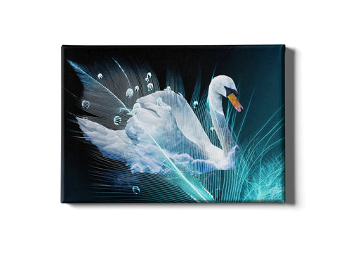Tablou Canvas Beauty Swan Multicolor & OYOTR-SL_tablou_206M & OYOTR-SL_tablou_206M